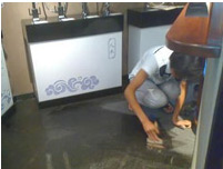 ʯ�Ĳ�֢����