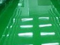 ������֬ɰ���͵�ƺ