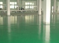 ������֬����ƽ�͵�ƺ