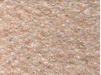 ��ǽ��ʯ����Ϳʩ����������Ľ������