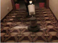 ��̺ȥ��С����