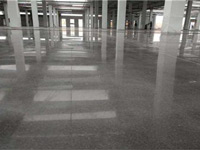 ���������ƺ