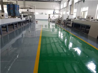 ���������ƺ